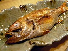 高級魚ノドグロ