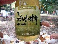 謎の韓国酒