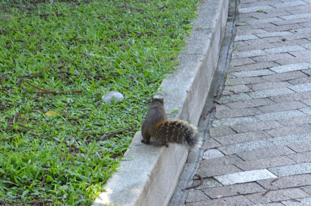 か、可愛い